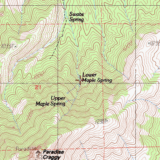 Topographic Map of Lower Maple Spring, CA