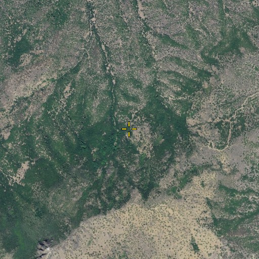 Aerial/Satellite Image of Lower Maple Spring, CA