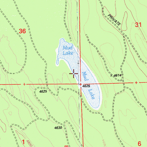 Topographic Map of Mud Lake, CA