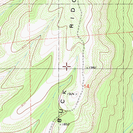 Topographic Map of Musty Buck Ridge, CA