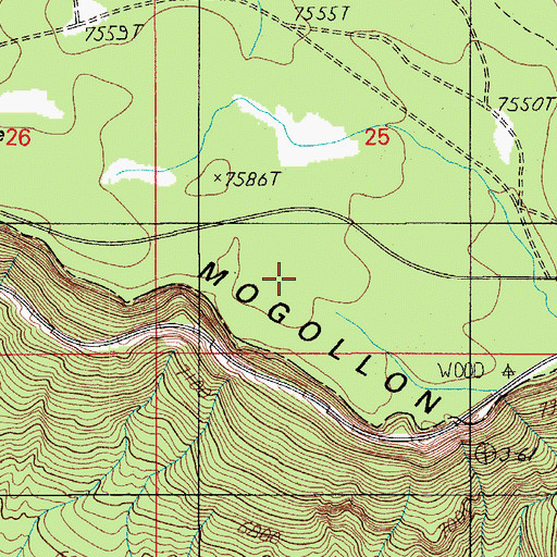 Topographic Map of Rim Campground, AZ