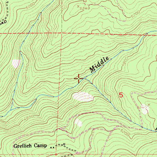 Topographic Map of Prothro Creek, CA