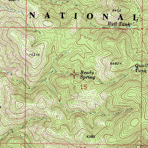 Topographic Map of Brady Spring, AZ