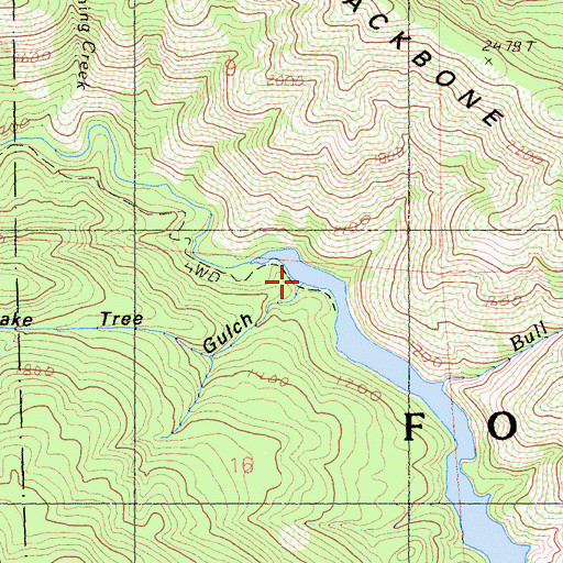 Topographic Map of Shake Tree Gulch, CA