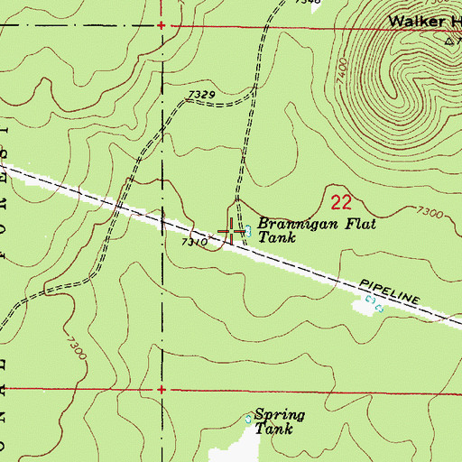 Topographic Map of Brannigan Flat Tank, AZ