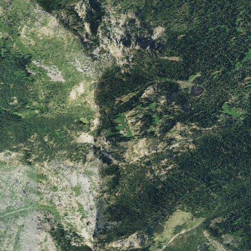 Aerial/Satellite Image of Snake Lake, CA