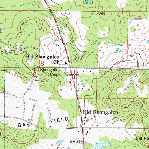 Topographic Map of Shongaloo Volunteer Fire Department, LA