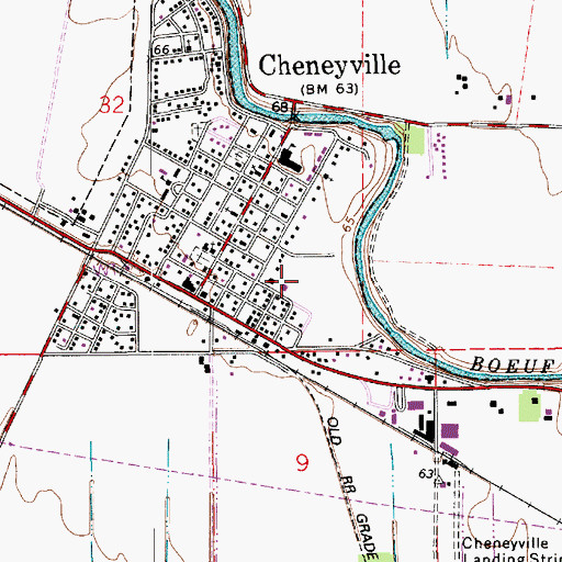 Topographic Map of Cheneyville Volunteer Fire Department, LA