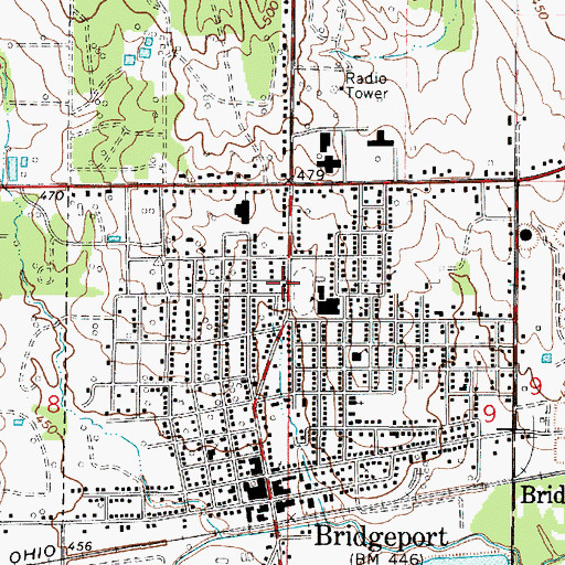 Topographic Map of Blue Star Emergency Medical Services, IL