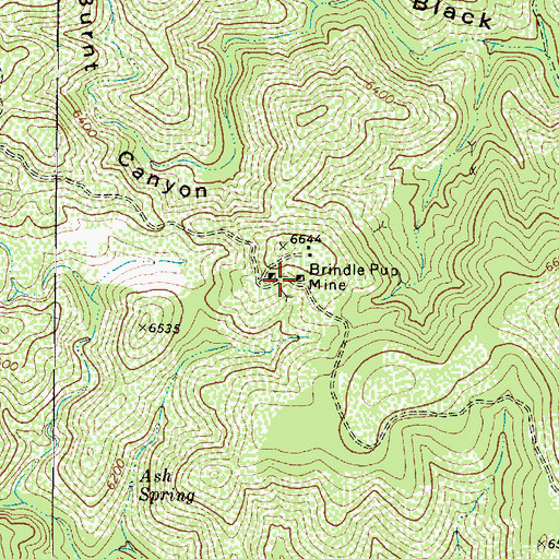 Topographic Map of Brindle Pup Mine, AZ