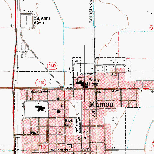 Topographic Map of Evangeline Extended Care Hospital Mamou, LA