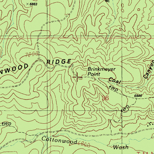 Topographic Map of Brinkmeyer Point, AZ