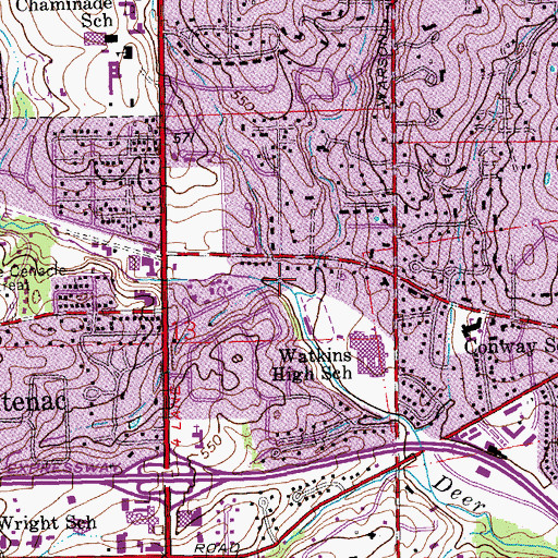 Topographic Map of Denny Creek, MO