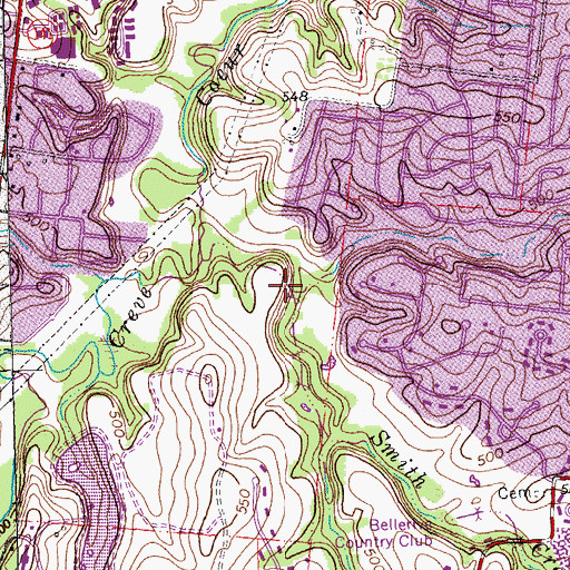 Topographic Map of Fernridge Creek, MO