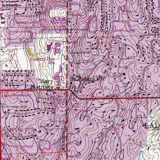 Topographic Map of Fordyce Fork, MO