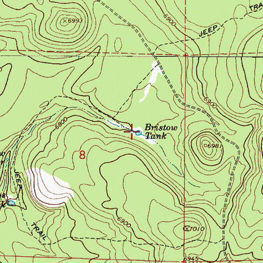 Topographic Map of Bristow Tank, AZ