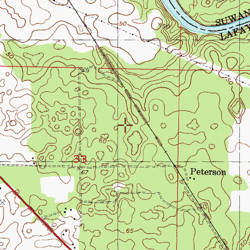 Topographic Map of Mayo Mine, FL