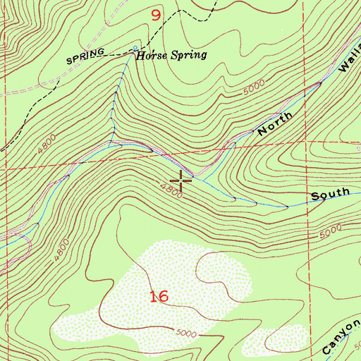 Topographic Map of South Wallace Canyon, CA