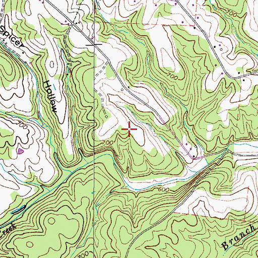 Topographic Map of Dripping Springs Farm Airport, TN