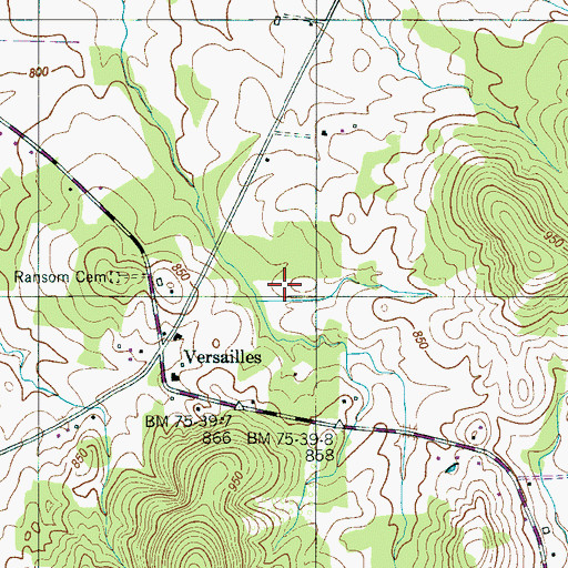 Topographic Map of Versailles Aerodrome, TN