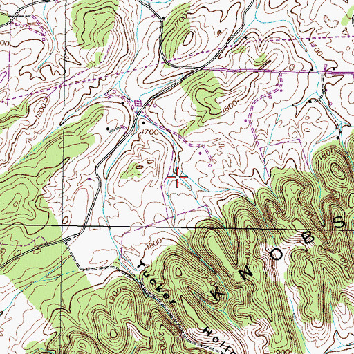 Topographic Map of Roach Farm Airport, TN