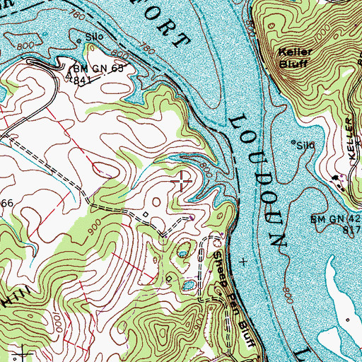 Topographic Map of Stone Field, TN