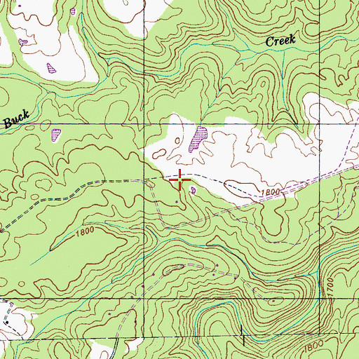 Topographic Map of Buck Creek Ranch Airport, TN