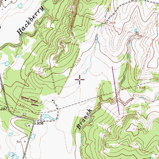 Topographic Map of Quahadi Ranch Airport, TX