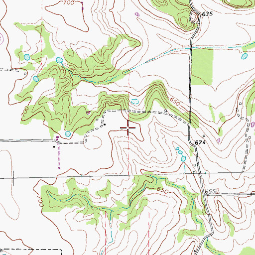 Topographic Map of Flying T Ranch Airport, TX