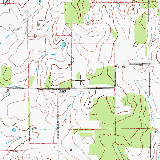 Topographic Map of Dauenhauer Field, TX