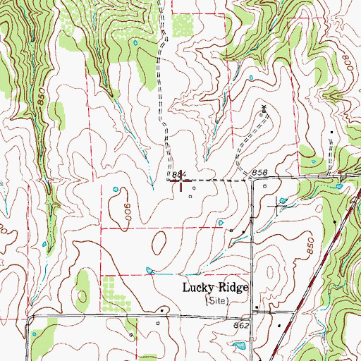 Topographic Map of Eugene's Dream Airport, TX