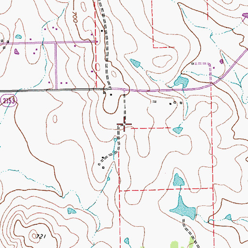 Topographic Map of Vultures Row Airport, TX