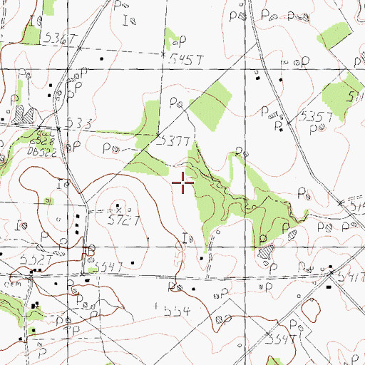 Topographic Map of Rhines Roost Airport, TX