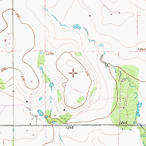 Topographic Map of Rob Airport, TX