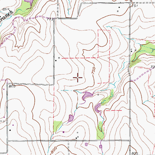 Topographic Map of Flying C Airport, TX