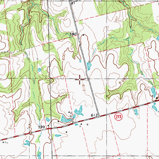 Topographic Map of Reward Ranch Airport, TX