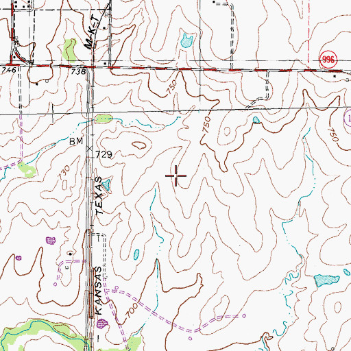 Topographic Map of Nuggs Flying M Airport, TX