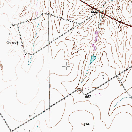 Topographic Map of Wales Air Field, TX