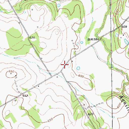 Topographic Map of Barnstormer Airport, TX