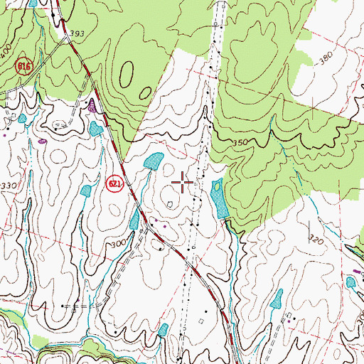 Topographic Map of Chantilly Turf Farms, VA