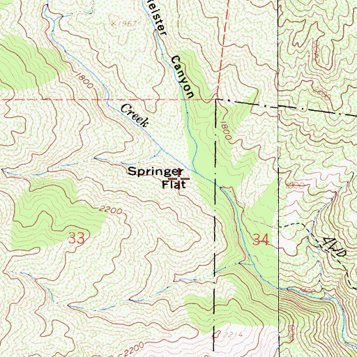 Topographic Map of Springer Flat, CA