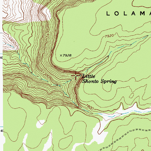 Topographic Map of Little Shonto Spring, AZ