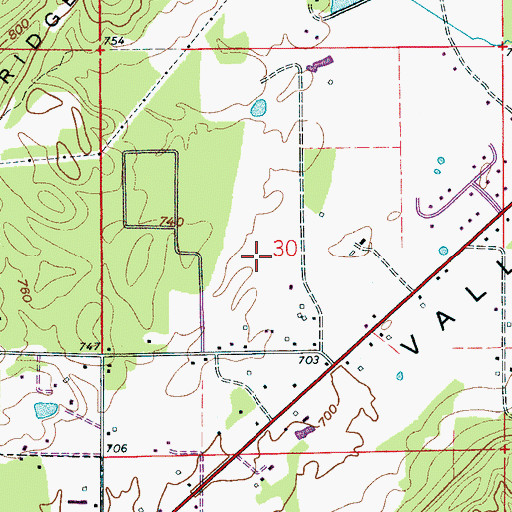 Topographic Map of Moore Field, AL
