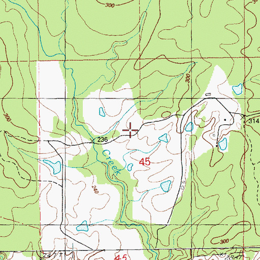 Topographic Map of Forest Home Airport (historical), MS