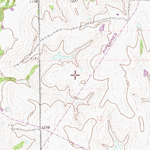Topographic Map of Good Life Ranch Airport, OK