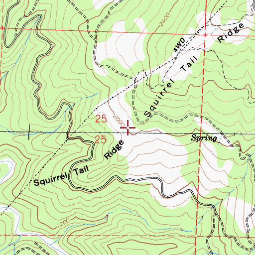 Topographic Map of Squirrel Tail Ridge, CA