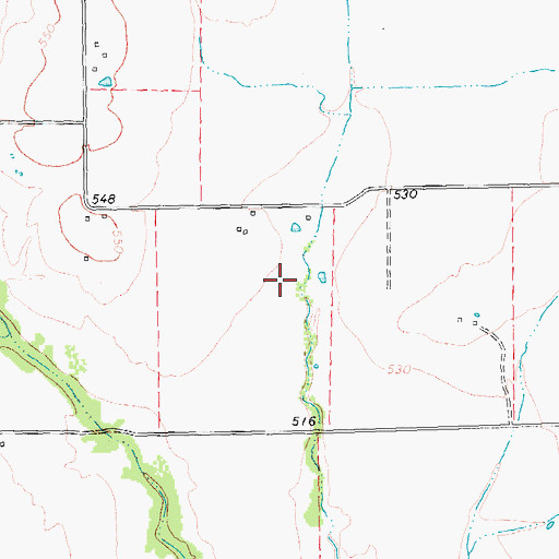 Topographic Map of Thorny Woods Airport, TX