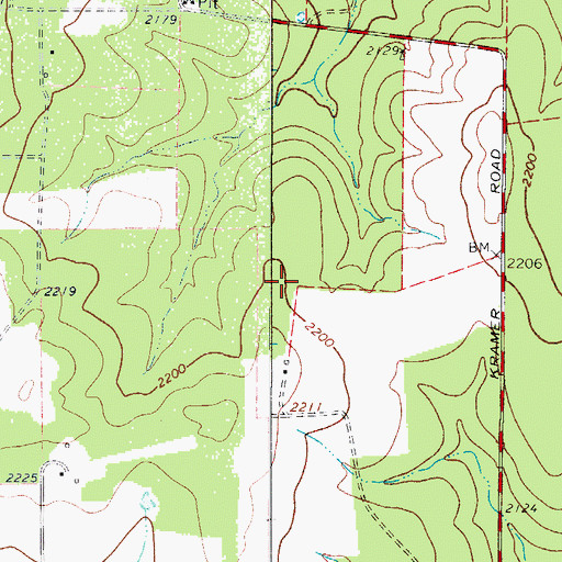 Topographic Map of Lone Star Flying Service, TX