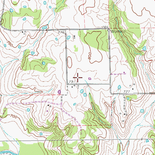 Topographic Map of Flat Bush Airport, TX