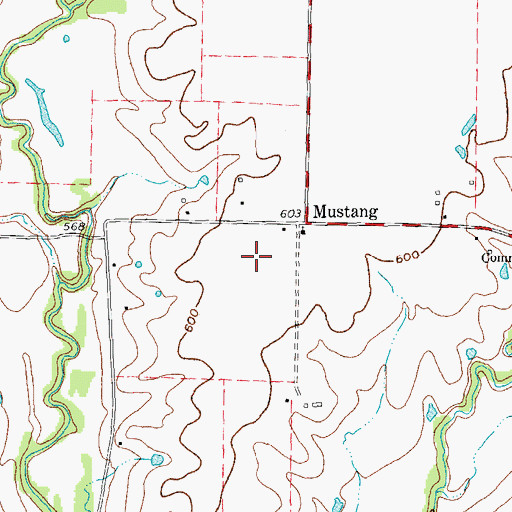 Topographic Map of Mustang Community Airfield, TX